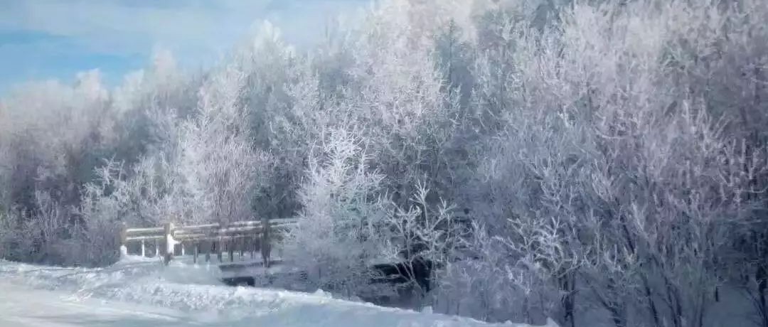 奕行記|奕路向北，駛向雪國(guó)阿爾山